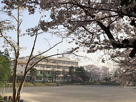 船橋市立高根小学校まで900m