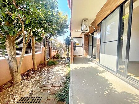 【庭】陽当たり良好な庭