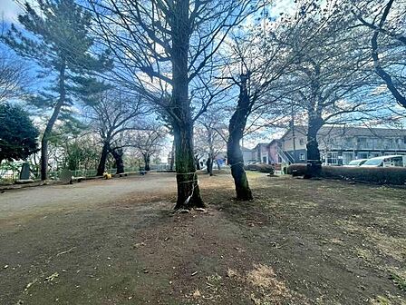 【公園】矢の山公園