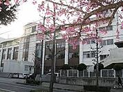 豊橋市立羽根井小学校まで185m