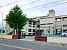 周辺：豊橋市立中部中学校まで1333m