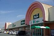 ドミー渡津店まで510m、ドミー渡津店