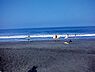 周辺：一宮海水浴場まで1158m