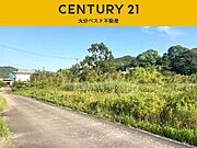 2023年6月撮影