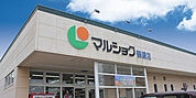 マルショク鶴崎店まで1544m、マルショク鶴崎店まで1550ｍ