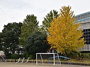 千葉市立大森小学校まで500m