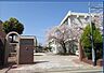 周辺：東大阪市立新喜多中学校まで1324m