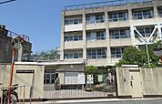 東大阪市立上四条小学校まで575m