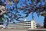 周辺：藤枝市立青島東小学校まで670m