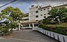 周辺：平塚市立花水小学校まで519m