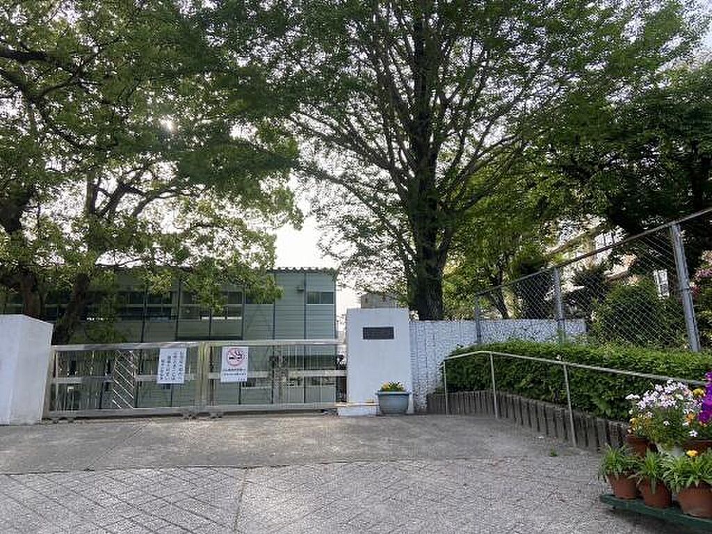 Image 8