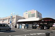 島忠春日部本店まで1819m