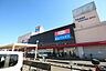 周辺：ベルクス杉戸店まで1244m