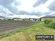 広々とした現地土地写真です。周囲は低層の住宅が点在し空が大きく開けた環境です。土地全体が平坦でさまざまな用途に活用いただけそうな敷地です。周辺は自然も多く穏やかな雰囲気が感じられます。