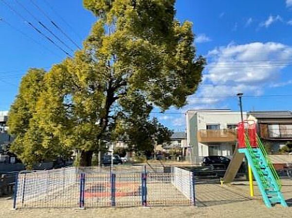 周辺を拡大表示