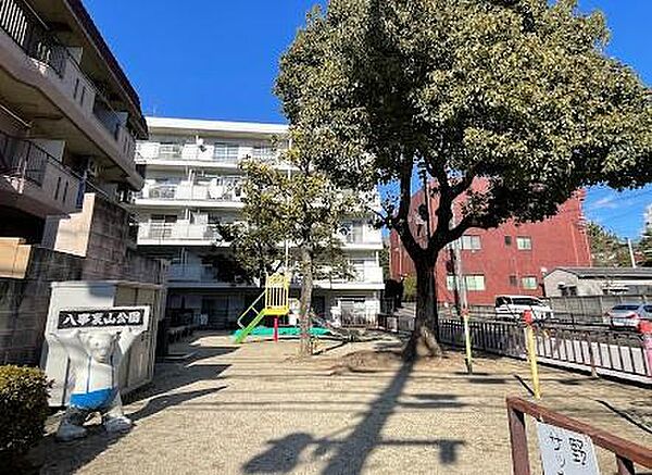 周辺を拡大表示