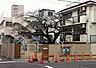 周辺：光明幼児園まで494m