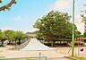周辺：中根公園まで563m