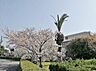 周辺：大田小学校まで1200m