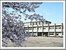 周辺：岡崎市立矢作東小学校まで1430m
