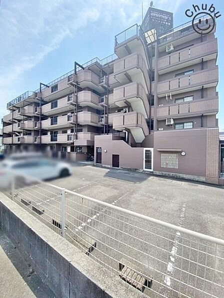 現地写真