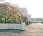 周辺：富木島中学校まで900m