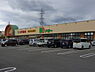 周辺：ドミー幸田店まで1260m