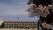 豊田市立高橋中学校まで1300m