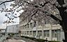 周辺：豊田市立山之手小学校まで1120m