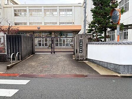 姫路市立城東小学校まで572m