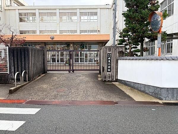 周辺を拡大表示