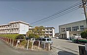 宮崎市立宮崎南小学校まで971m