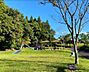 周辺：生目台公園まで1666m