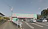 周辺：ディスカウントドラッグコスモス小松店まで530m