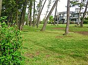 宮沢町第四公園まで929m