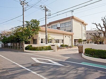 藤沢市立八松小学校まで744m