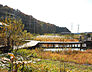 周辺：引地川親水公園まで1577m