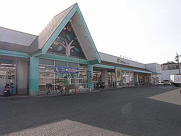 周辺を拡大表示