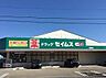 周辺：ドラッグセイムス加納店まで1029m、セイムスは、置き薬の富士薬品が展開する、ドラッグストアチェーンです。置地薬ポイントなどのサービスもあります！