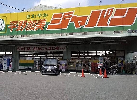 ジャパン 平野...