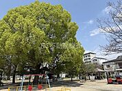 桃谷公園まで1020m