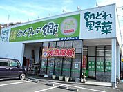 めぐみの郷羽曳野店まで1450m