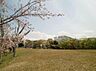 周辺：桃山公園まで510m