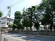八王子市立第一小学校まで319m