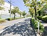 その他：前面道路含む現地写真美しい街路樹が続く爽やかな通りに面した住環境。木漏れ日が心地よく、日々のお散歩やジョギングコースとしてもぴったり♪ 豊かな自然と利便性が心地よく調和した、人気のエリアです。