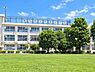 周辺：練馬区立中村小学校まで524m