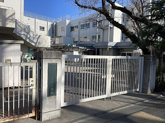 中野区立緑野小...