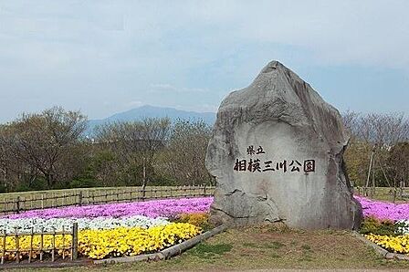 県立相模三川公園まで1520m