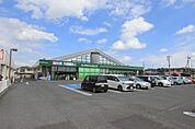 セイブ食採館
