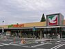 周辺：ヨークベニマル東大島店